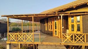 Family Cruise 01