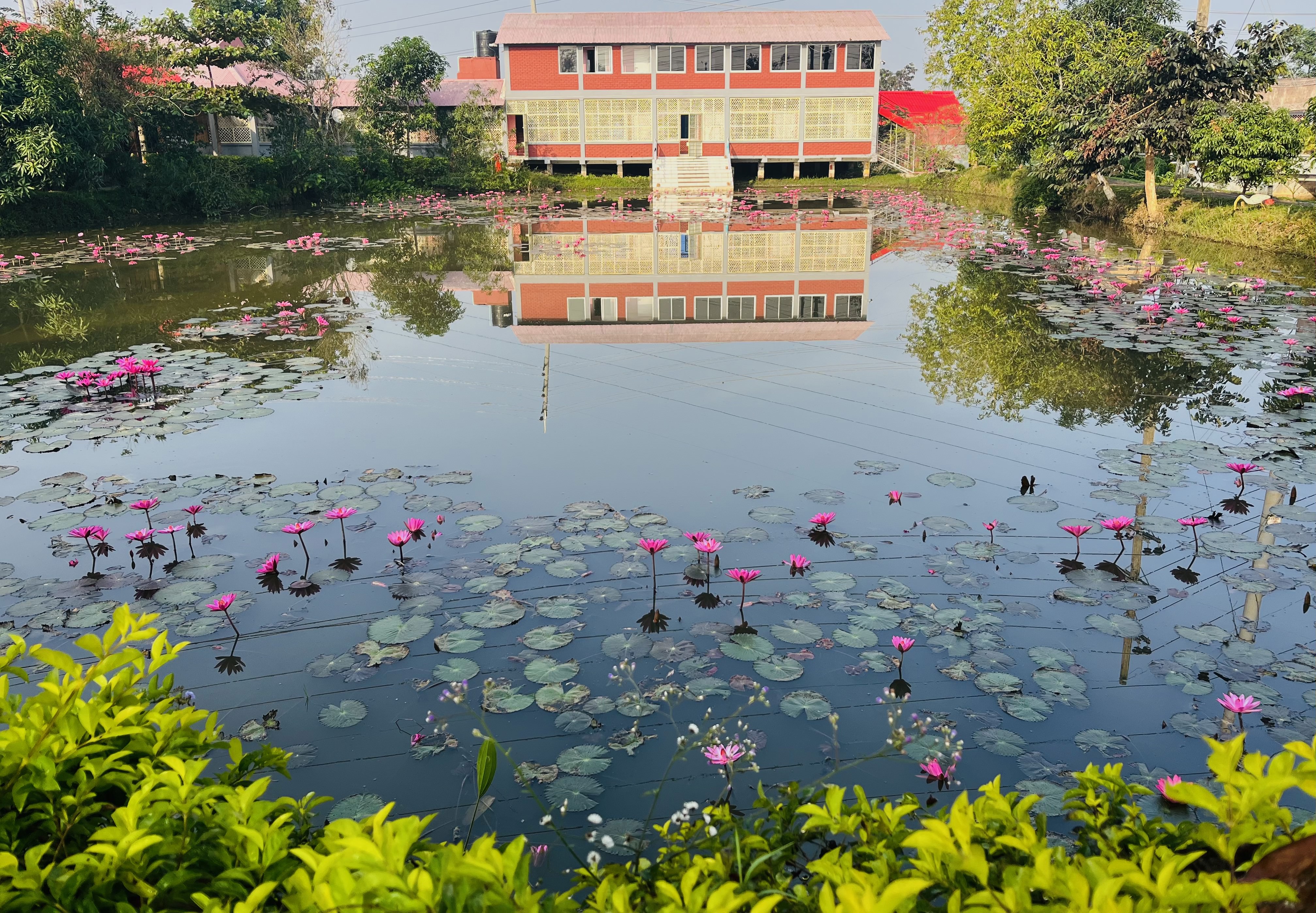 Waterlily Resort Ltd, Sreemangal