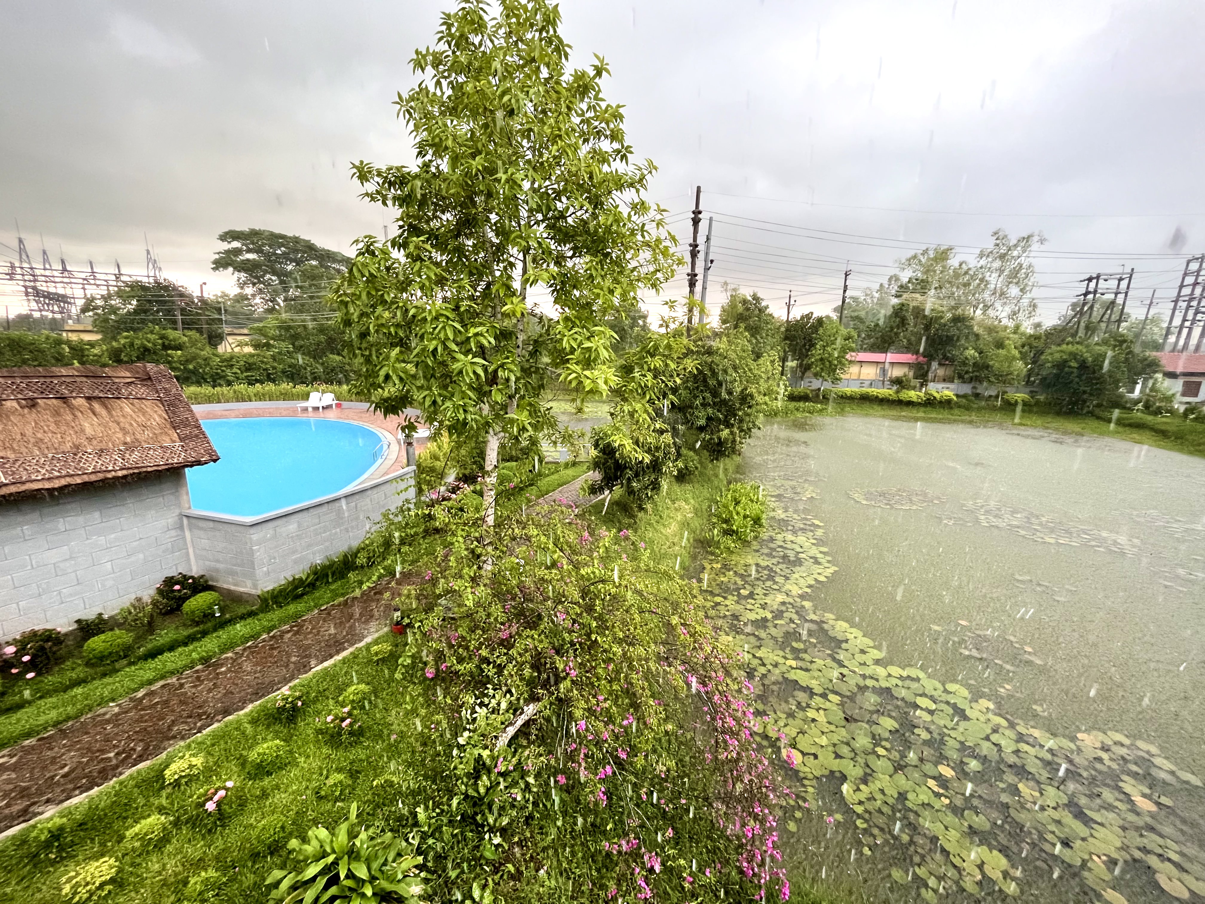 Waterlily Resort Ltd, Sreemangal