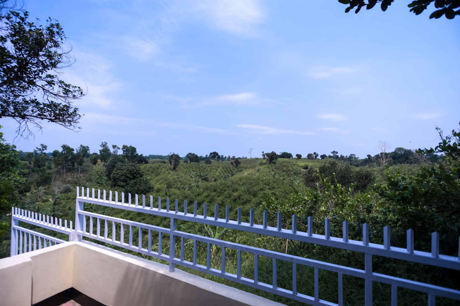 Tea Garden Cottage