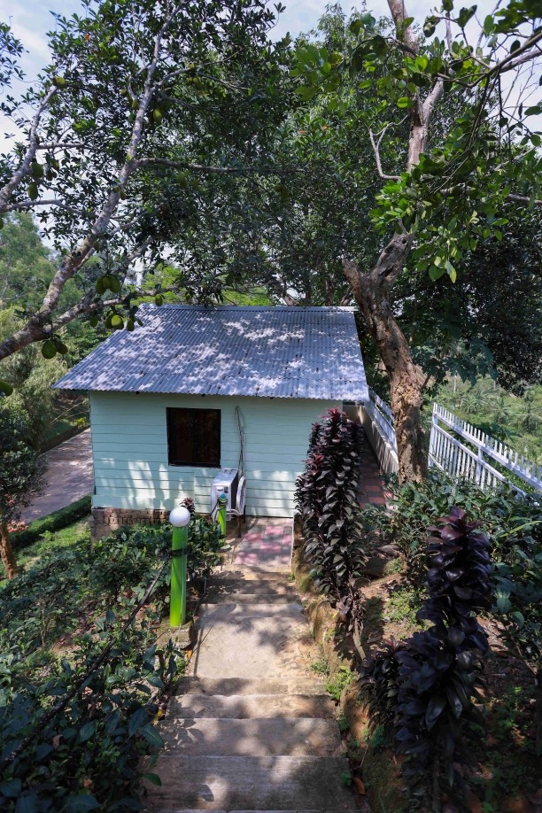 Pineapple Garden Cottage