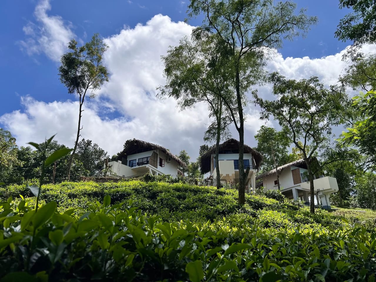 Superior Pool Villa 1