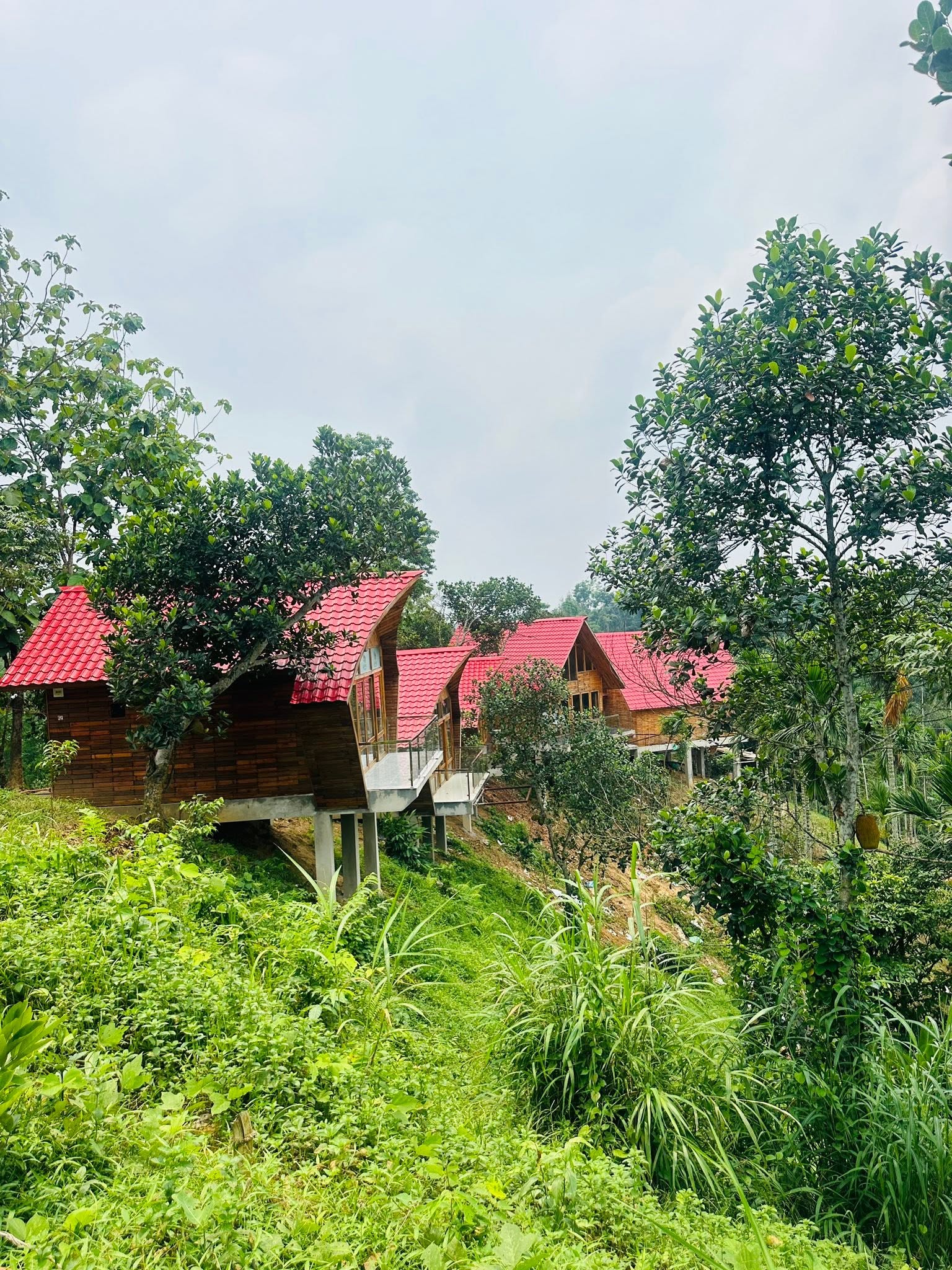 Lushara Tea Resort, Sreemangal